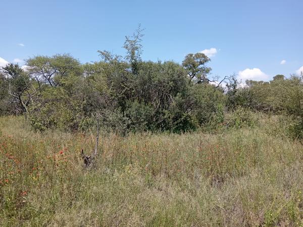 Property For Sale in Dinokeng Game Reserve, Wonderboom